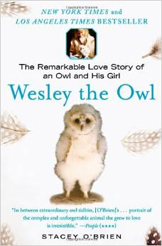 Wesley the Barn Owl